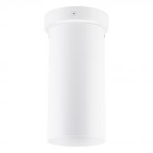 Eglo Canada - Trend 204899A - Tortoreto 1-Light Flush Mount