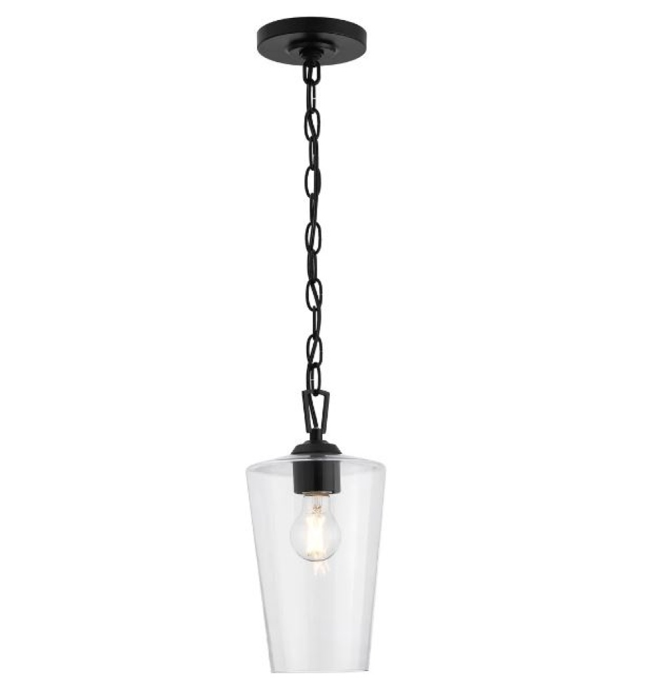 P500506-031 1-L PENDANT