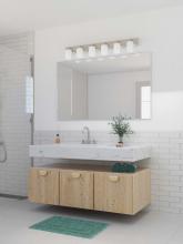 PROG_AG_Transitional_Bathroom_P300421-009_3D_appshot.jpg