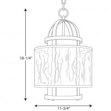 PROG_P3701dimensions_lineart.jpg