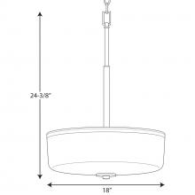 PROG_P3846dimensions_lineart.jpg