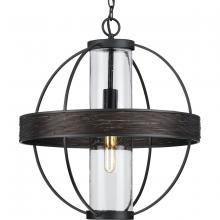 Progress P550111-31M - Terrace Collection One-Light Matte Black Clear Seeded Glass Global Outdoor Hanging Light