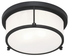 Matteo Lighting M14902MB - Caisse Claire Ceiling Mount