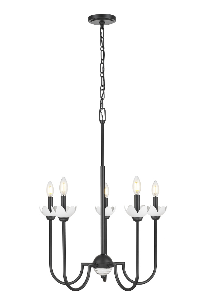5 Light Chandelier