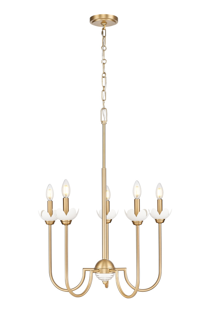 5 Light Chandelier