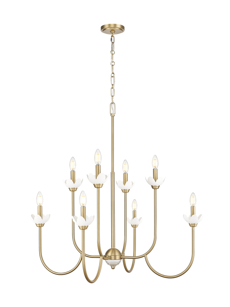 8 Light Chandelier