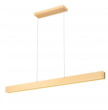 Z-Lite 1016-55L-GLD-LED - 1 Light Linear Chandelier