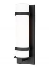 Generation Lighting 8618301-12 - Alban Medium One Light Outdoor Wall Lantern