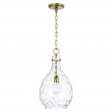 Capital 349012AD - 1 Light Pendant