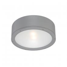 WAC Canada FM-W2612-GH - TUBE Outdoor Flush Mount Light