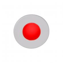 WAC Canada WL-LED310-RD-WT - LEDme® Full Round Step and Wall Light