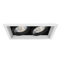 Eurofase TE132LED-35-4-02 - MULT,26W,TRM,2LT,35K,WHT/BLK