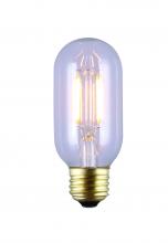 Canarm B-LT45-4F2 - LED Vintage Bulb, E26 Socket, 4W T45 Shape, 2200K, 320 Lumen, 15000 Hours Life Time