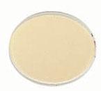 Color Correction 3-3/4" Dia