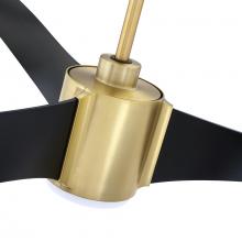 AC31560-BLK_BRS-detail2.jpg