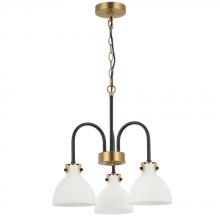 Maxilite MX 1094-3-72 - Belle-Clear