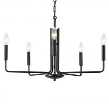 Maxilite MX 1665-07 - Delphi