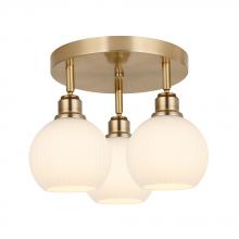 Maxilite MX 3752C3-31 - Clement