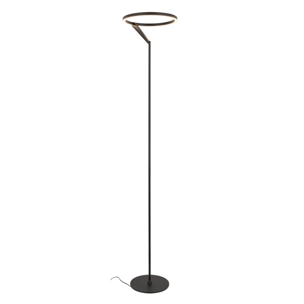 Roda 13-in Black LED Floor Lamp