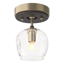 Hubbardton Forge - Canada 121372-SKT-84-14-ZM0709 - Ume 1-Light Semi-Flush