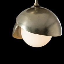 Hubbardton Forge - Canada 121377-SKT-86-86-GG0711 - Brooklyn 1-Light Double Shade Semi-Flush