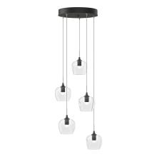 Hubbardton Forge - Canada 131123-SKT-STND-20-ZM0709 - Ume 5-Light Pendant