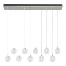 Hubbardton Forge - Canada 131203-SKT-STND-85-ZM0709 - Ume 10-Light Pendant