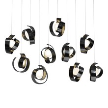 Hubbardton Forge - Canada 131208-SKT-LONG-89-GG0711 - Riza 10-Light Pendant