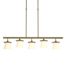 Hubbardton Forge - Canada 136605-SKT-SHRT-86-GG0242 - Wren 5 Light Pendant