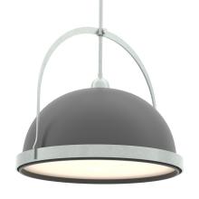 Hubbardton Forge - Canada 137462-SKT-MULT-82-10 - Atlas Large Pendant