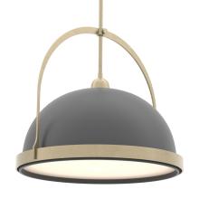 Hubbardton Forge - Canada 137462-SKT-MULT-84-10 - Atlas Large Pendant