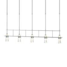 Hubbardton Forge - Canada 137725-SKT-SHRT-82-ZM0343 - Erlenmeyer 5 Light Pendant