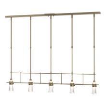 Hubbardton Forge - Canada 137725-SKT-STND-84-ZM0343 - Erlenmeyer 5 Light Pendant