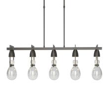 Hubbardton Forge - Canada 137810-SKT-LONG-07-ZM0572 - Apothecary Pendant