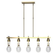 Hubbardton Forge - Canada 137810-SKT-STND-86-ZM0572 - Apothecary Pendant