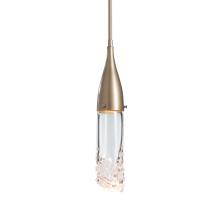 Hubbardton Forge - Canada 188900-SKT-MULT-84-ZM0617 - Fritz Mini Pendant