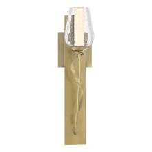 Hubbardton Forge - Canada 203030-SKT-86-ZS0354 - Flora Sconce