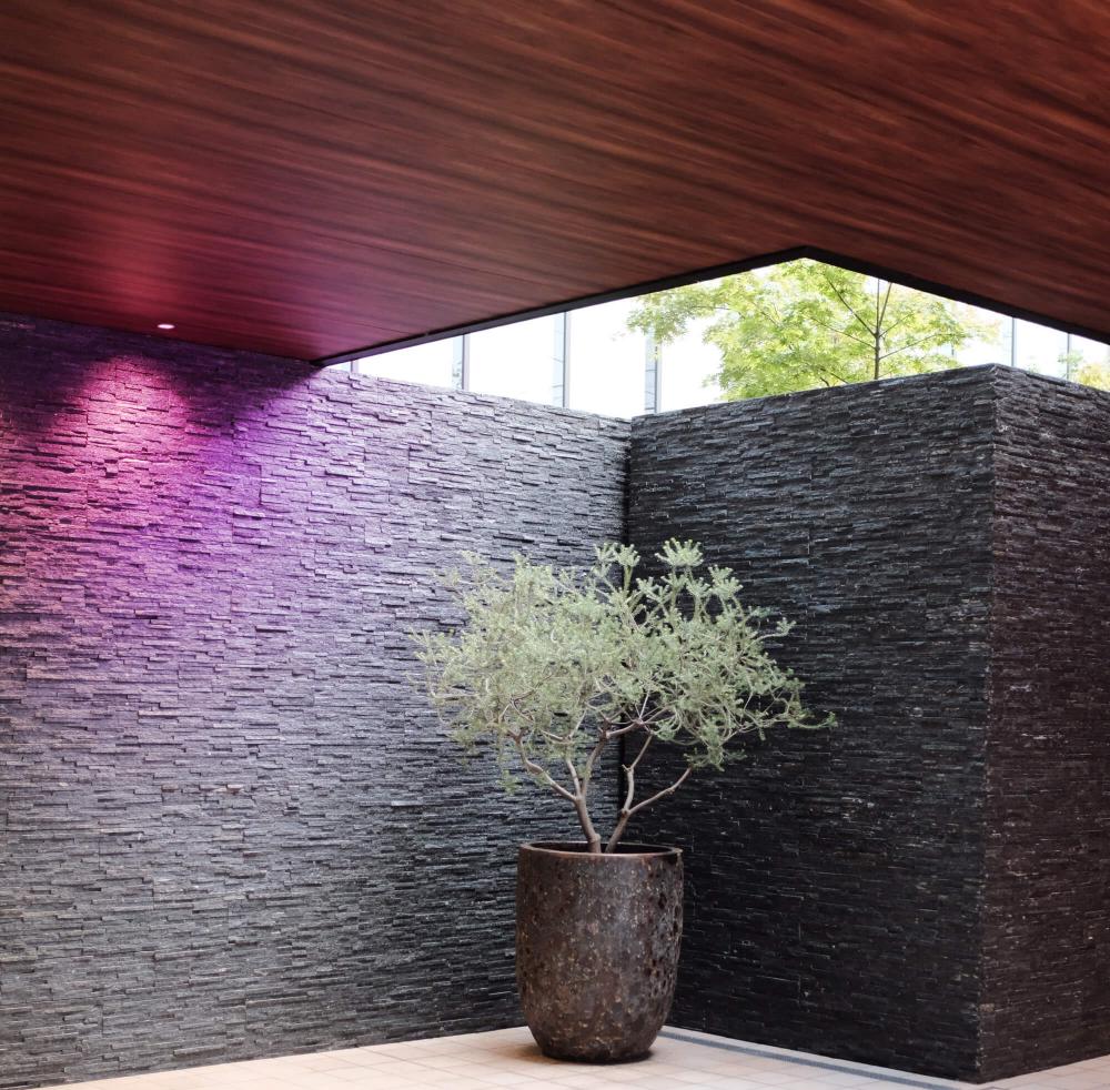 DALS CONNECT PRO Smart 4" Deep Regressed Panel