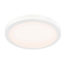 Dals FMP12-CC-CR-WH - 12in flush mount for coastal environment