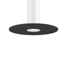 Dals PIL-ACCFD24-DG-WH - White mounting reflector and 24in felt disk Dark gray for PILXX