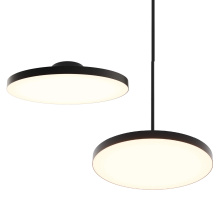 Dals TLPF21-CC-UNV-BK - 21in trimless 2in1 with stems, 5CCT, 120-347v, 0-10v/Triac - Black