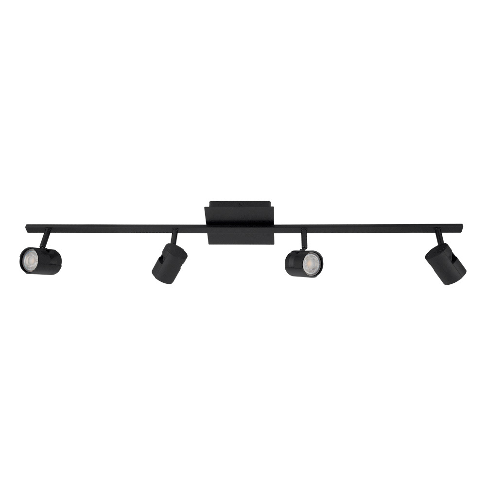4L Track Light / Luminaire sur rail 4L