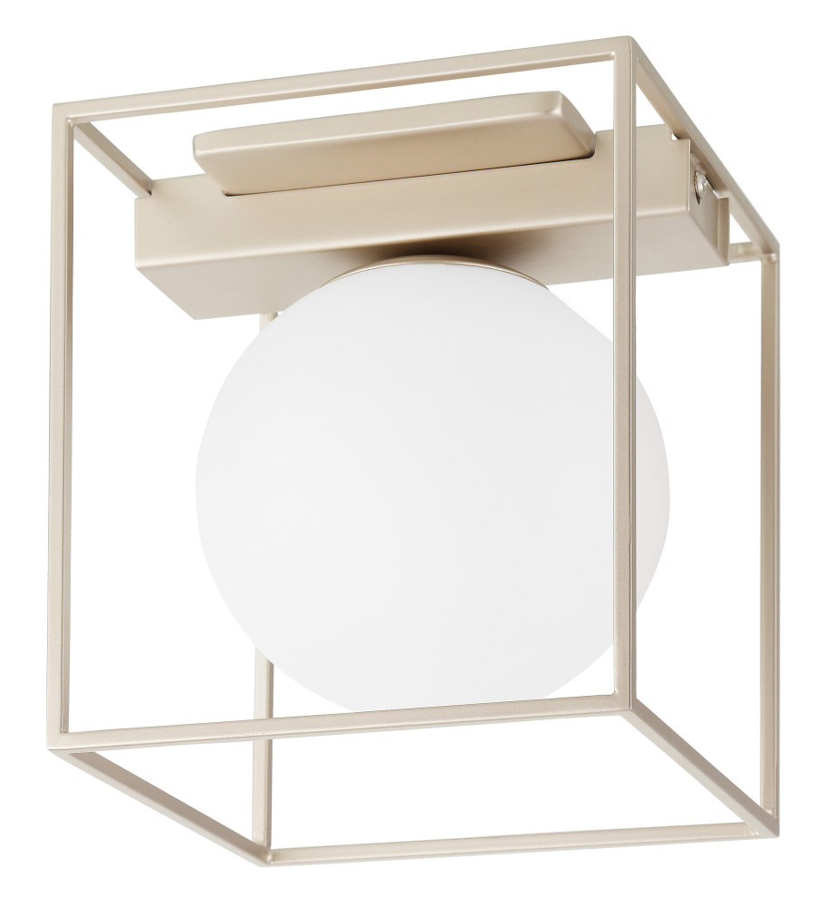 1L Flush Mount / Plafonnier 1L