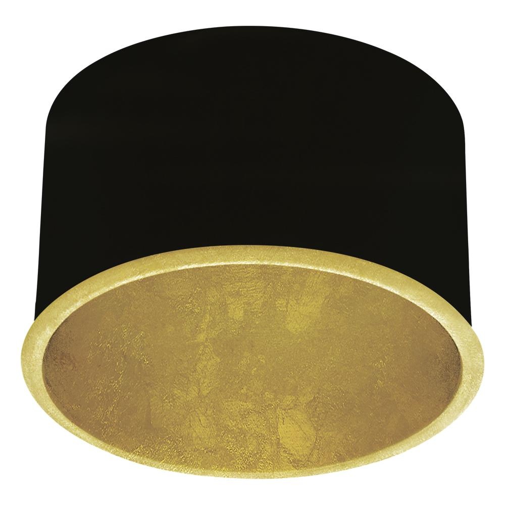 GU10 Baffle / Deflecteur GU10