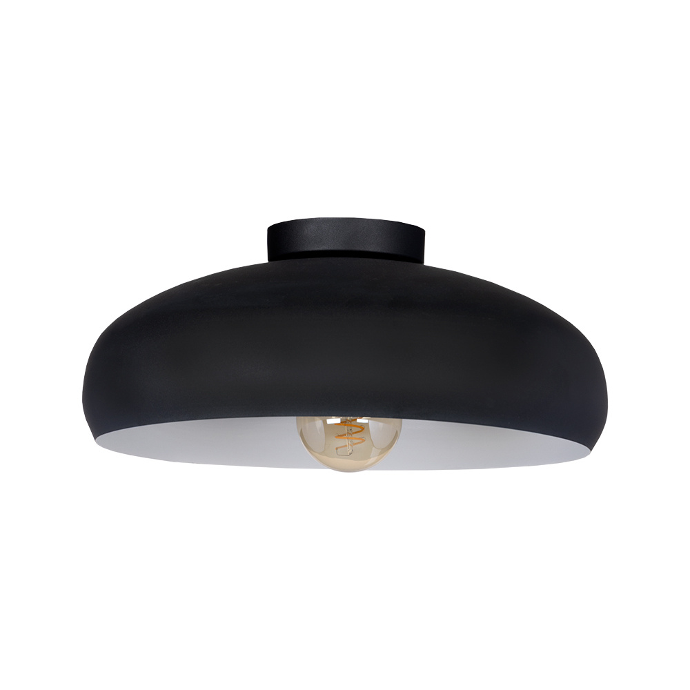 1L Flush Mount / Plafonnier 1L