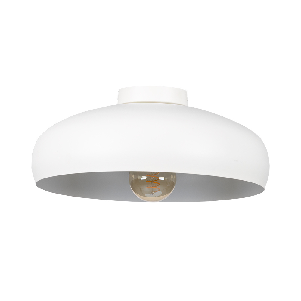 1L Flush Mount / Plafonnier 1L