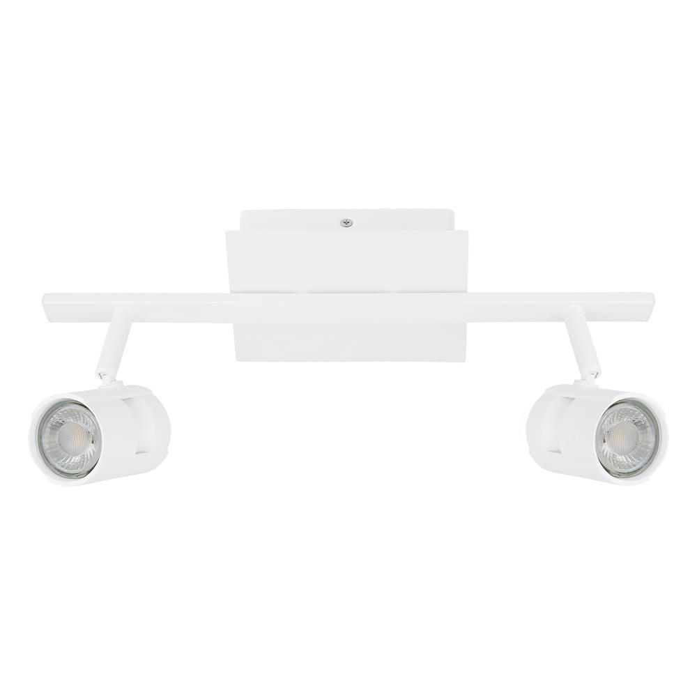 2L Track Light / Luminaire sur rail 2L