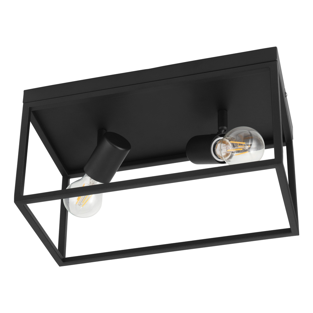 2L Flush Mount / Plafonnier 2L