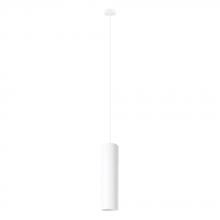 Eglo Canada 204898A - 1L Pendant Light / Luminaire suspendu 1L