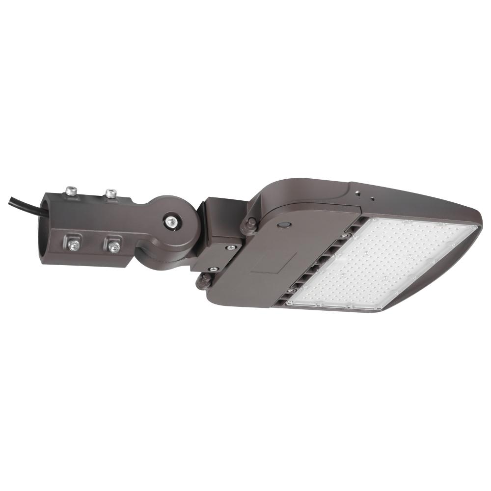 LED Area Light Type III; 150W; Bronze Finish; 5000K; 277-480V